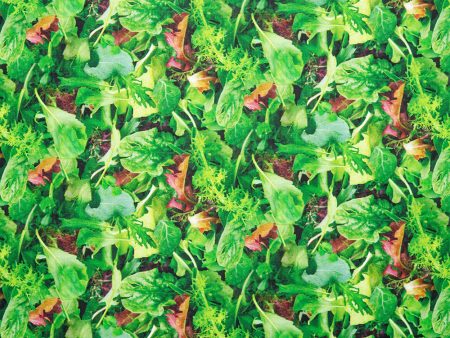 VEGETABLE GARDEN Printed Cotton - Fine herbs - Green Discount