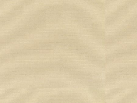 Sunbrella Furniture Solid Canvas 5422 Antique Beige Online Sale