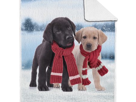 Decorative Printed Throw - With Sherpa Backing - Puppy - 48 x 60 inch (123 x 153 cm) Hot on Sale